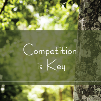 TAK 250 Competition is Key TAK 250 Competition is Key